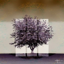 Window2 on a Purple Tree 1x1